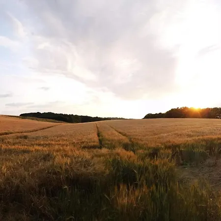 5 Person In Hejls-by Traum *