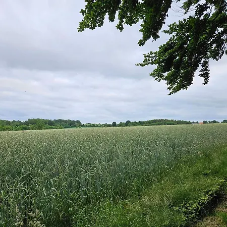 5 Person In Hejls-by Traum 하일스