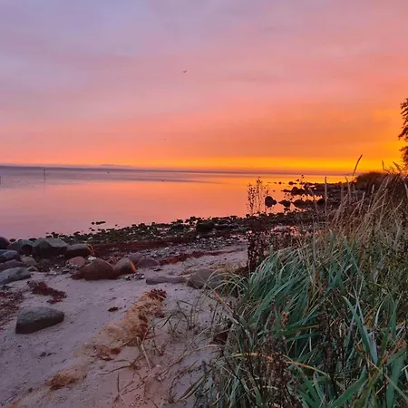 5 Person In Hejls-by Traum