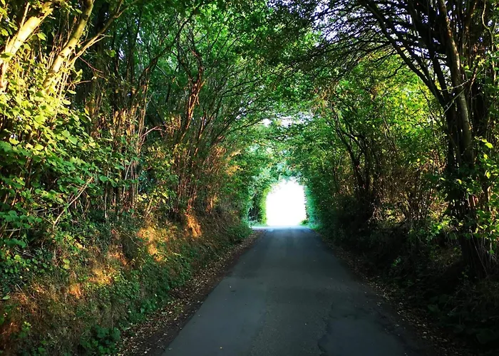 펜션 5 Person In Hejls-by Traum 하일스