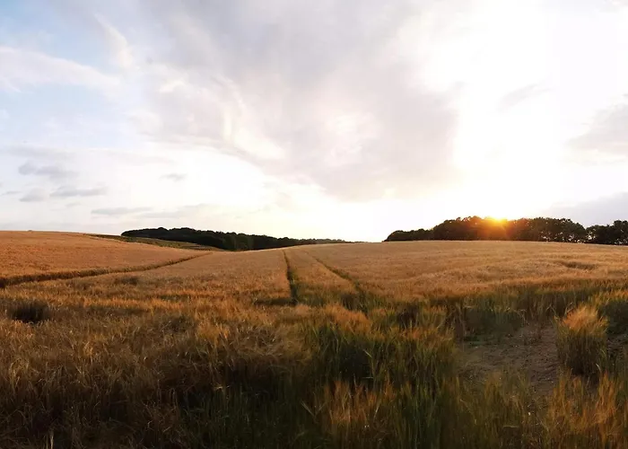 5 Person In Hejls-by Traum *