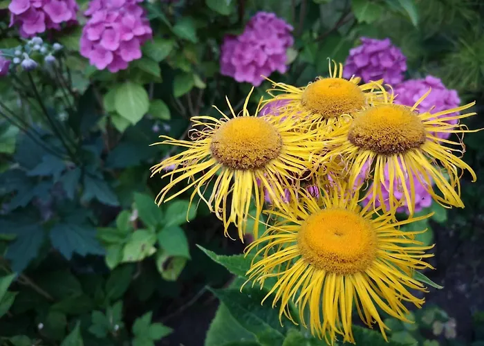 5 Person In Hejls-by Traum 펜션 *