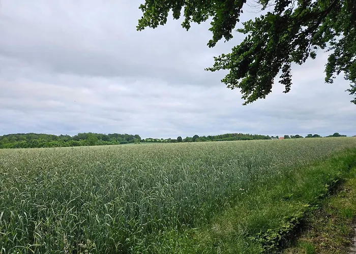 5 Person In Hejls-by Traum 하일스