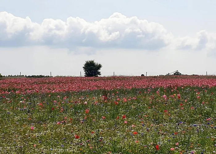 5 Person In Hejls-by Traum