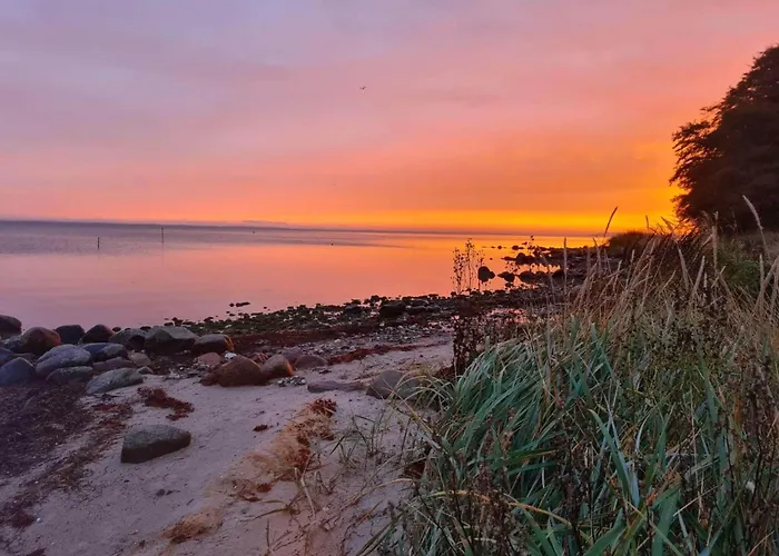 5 Person In Hejls-by Traum