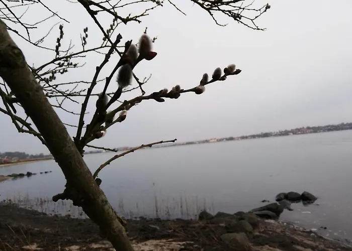 5 Person In Hejls-by Traum * 하일스