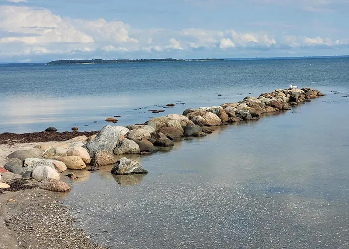 5 Person In Hejls-by Traum *