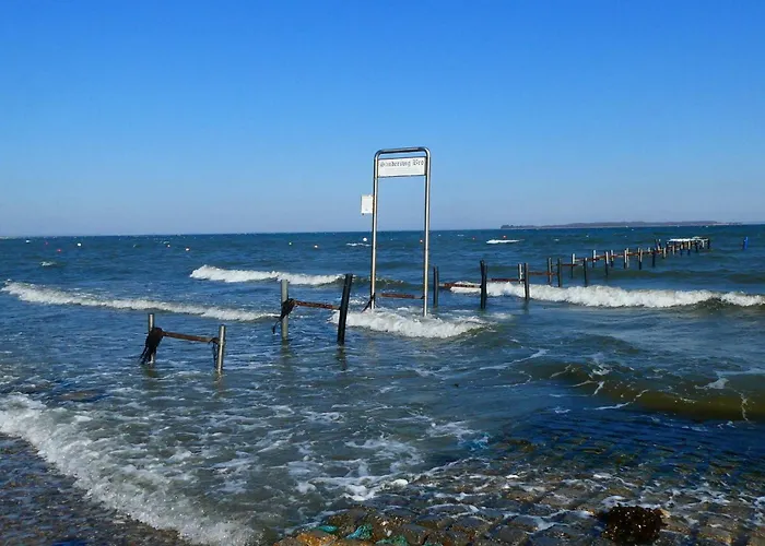 5 Person In Hejls-by Traum 하일스